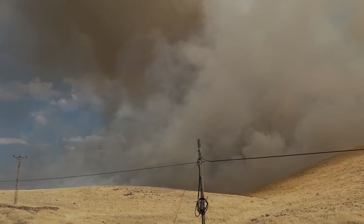 Karakoçan’da örtü yangını