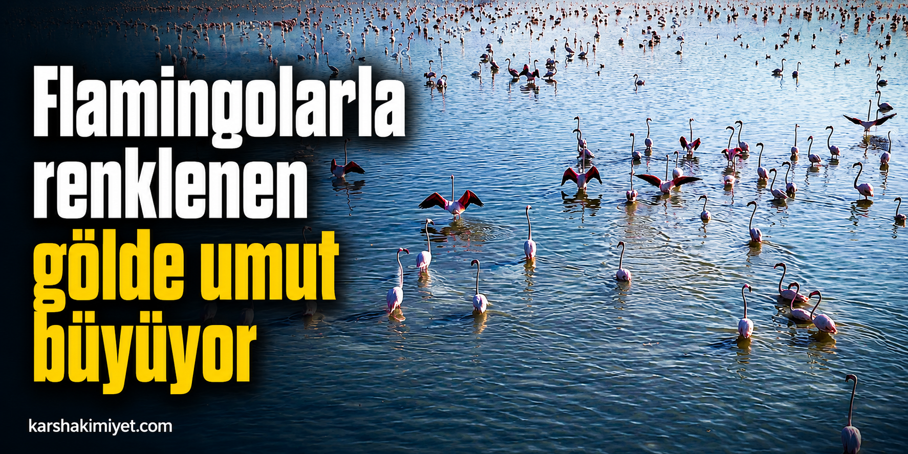 Flamingolarla renklenen gölde umut büyüyor