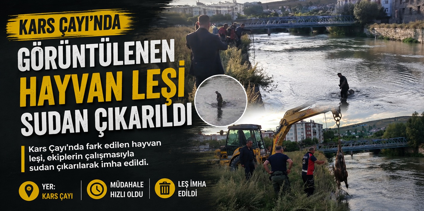 Kars Çayı’nda Görüntülenen Hayvan Leşi Sudan Çıkarıldı