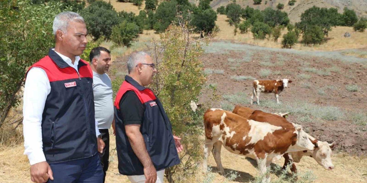 Elazığ’ Kırsalda Bereket, Hayvancılığa Destek Projesi sürüyor