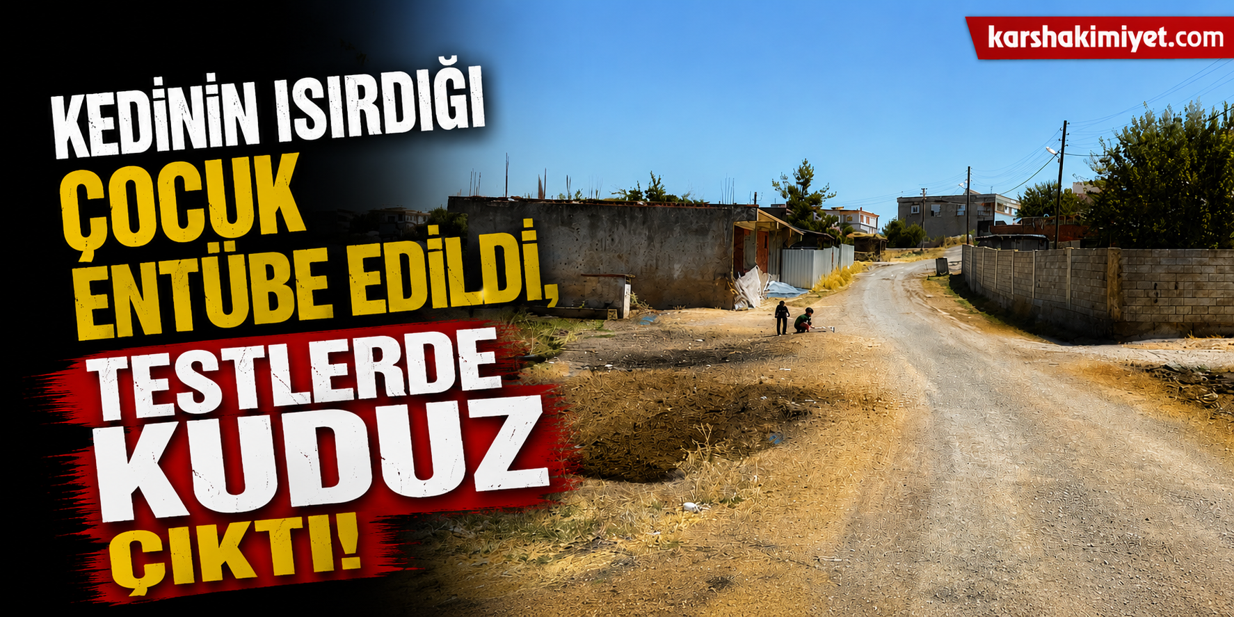 Kedinin ısırdığı çocuk entübe edildi, testlerde kuduz çıktı