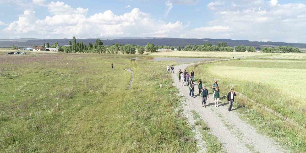 Kars ve Ardahan’da 52 bin hektarlık alanda arazi toplulaştırma incelemesi