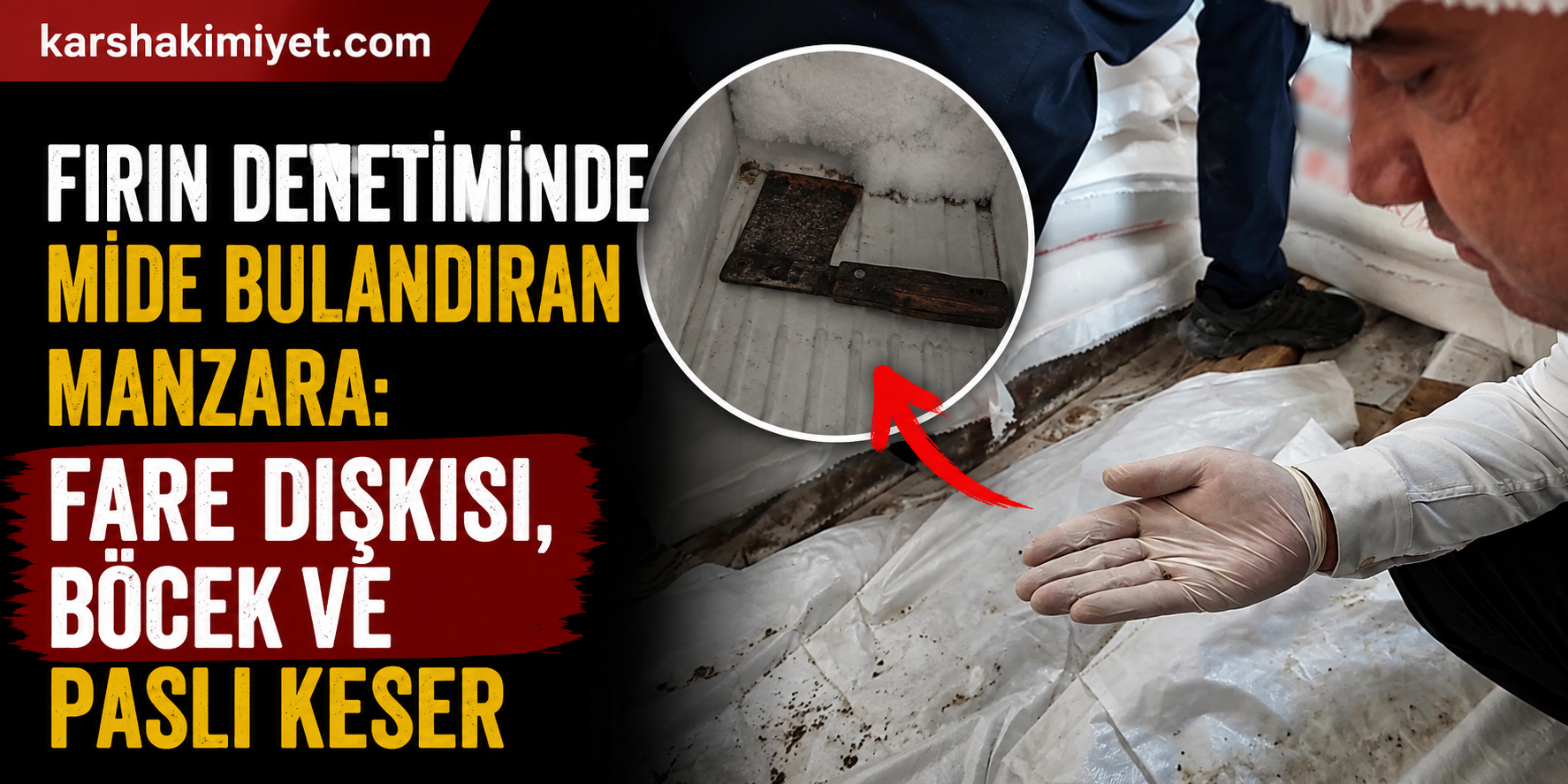 Fırın Denetiminde Mide Bulandıran Manzara: Fare Dışkısı, Böcek ve Paslı Keser