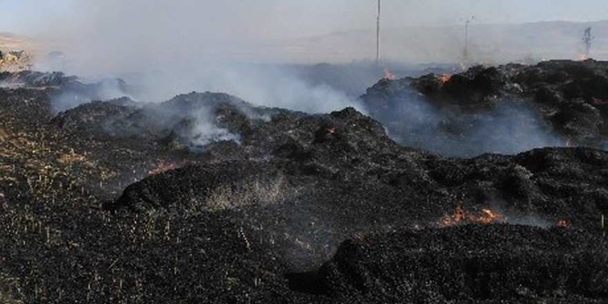 Yaktığı mangal, 400 balya samanı yaktı