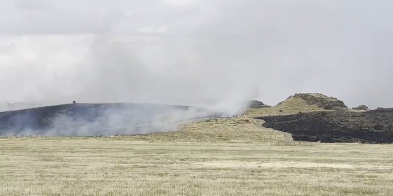 Ahlat-Tatvan yolunda otluk alanda yangın paniği
