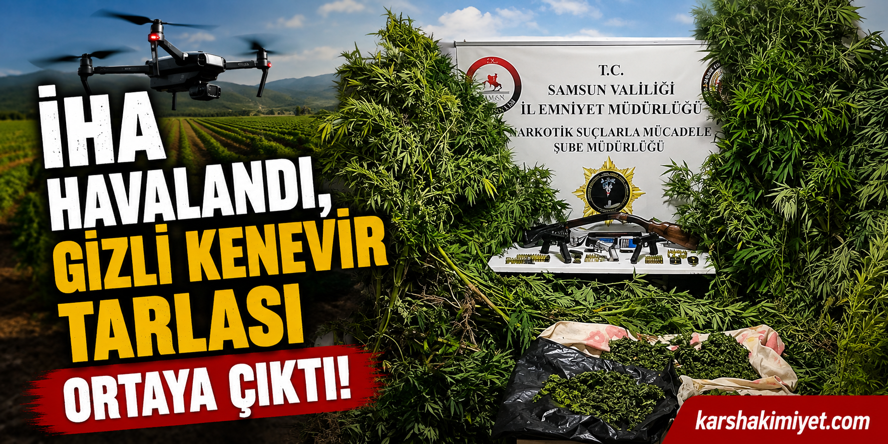 İHA Havalandı, Gizli Kenevir Tarlası Ortaya Çıktı
