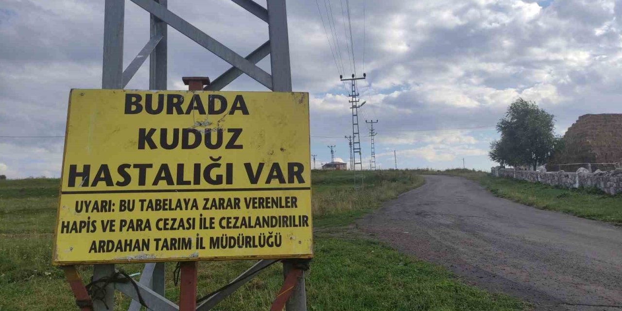 Kuduz nedeniyle mahalleye giriş çıkışlar yasaklandı
