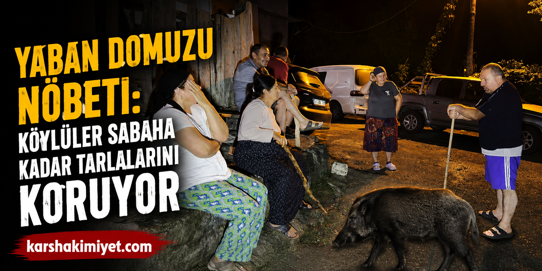 Yaban Domuzu Nöbeti: Köylüler Sabaha Kadar Tarlalarını Koruyor
