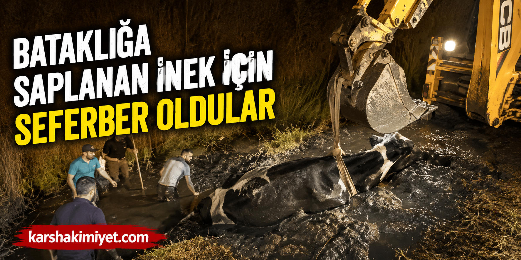Bataklığa Saplanan İnek İçin Seferber Oldular