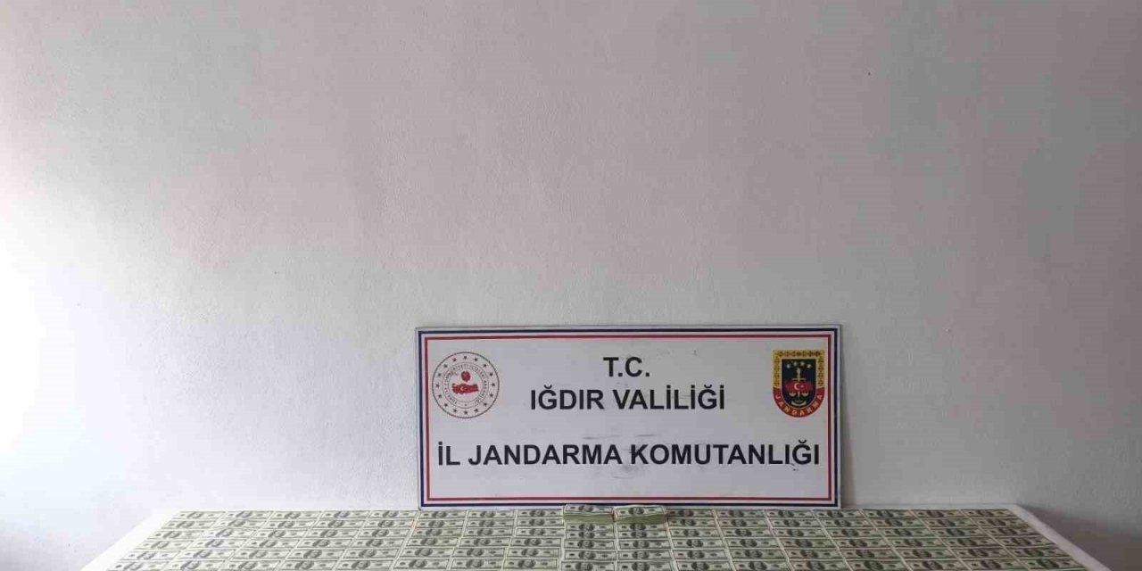 Iğdır’da 2,5 milyon liralık sahte dolar operasyonu
