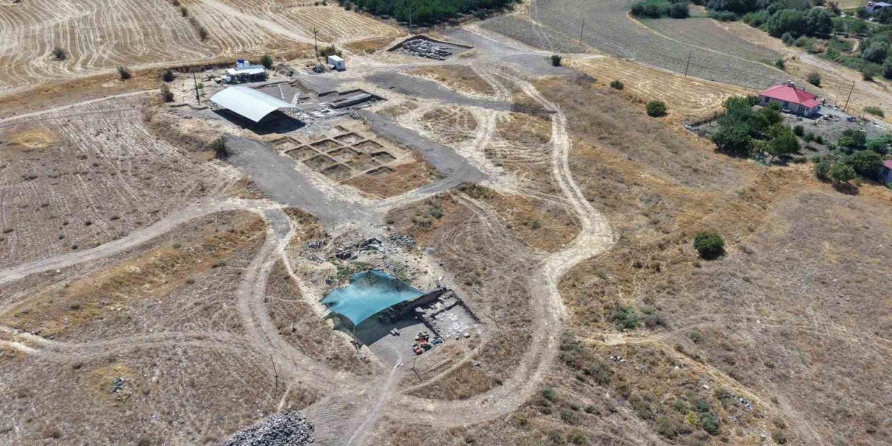 Tarlada fidan dikerken bulunan mozaiğin ardından dev yerleşim gün yüzüne çıktı