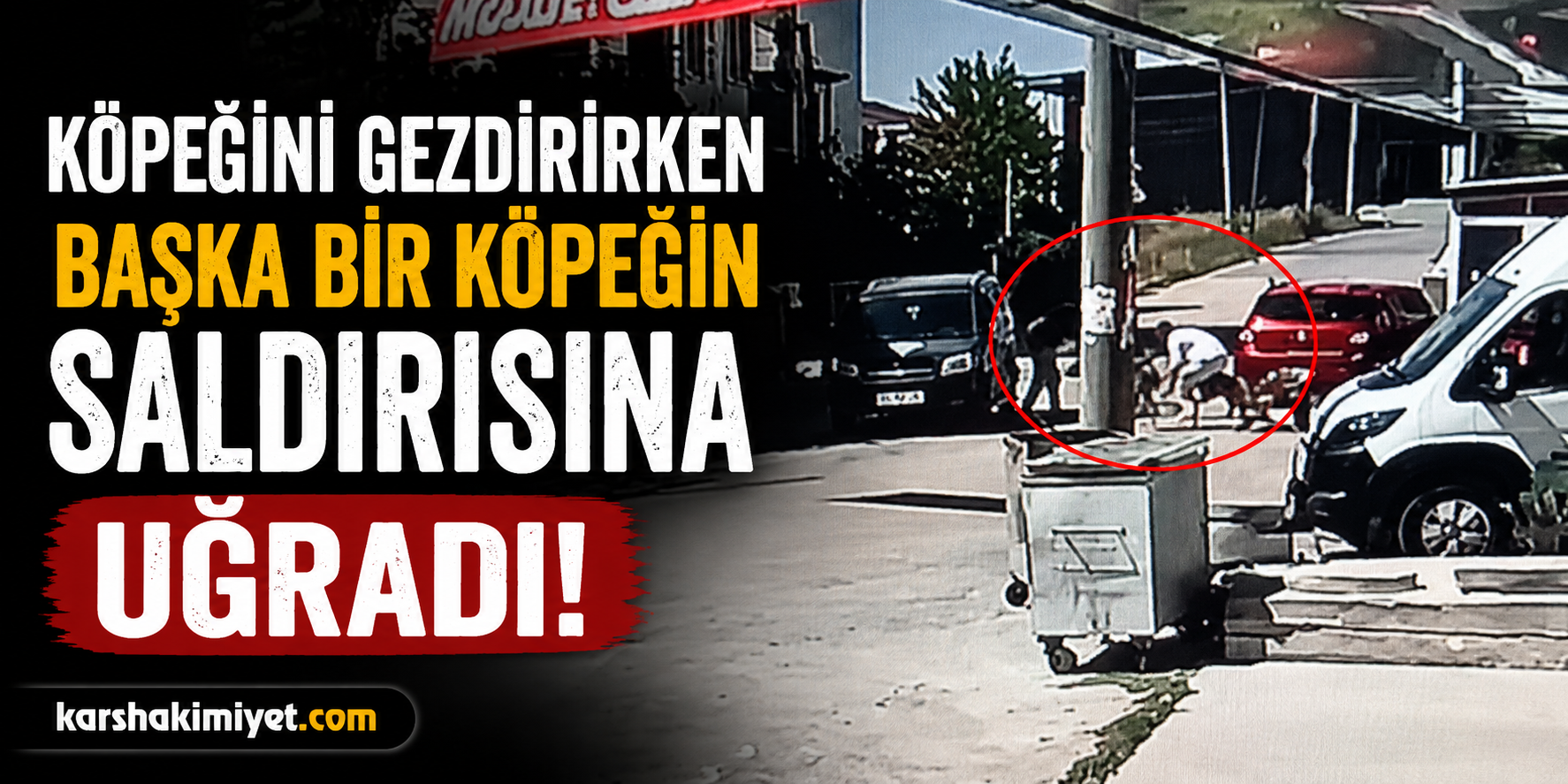 Köpeğini Gezdirirken Başka Bir Köpeğin Saldırısına Uğradı