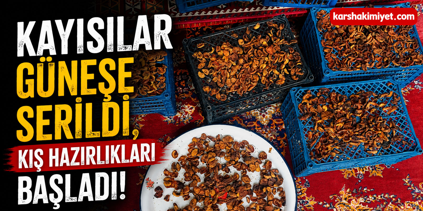 Kayısılar Güneşe Serildi, Kış Hazırlıkları Başladı