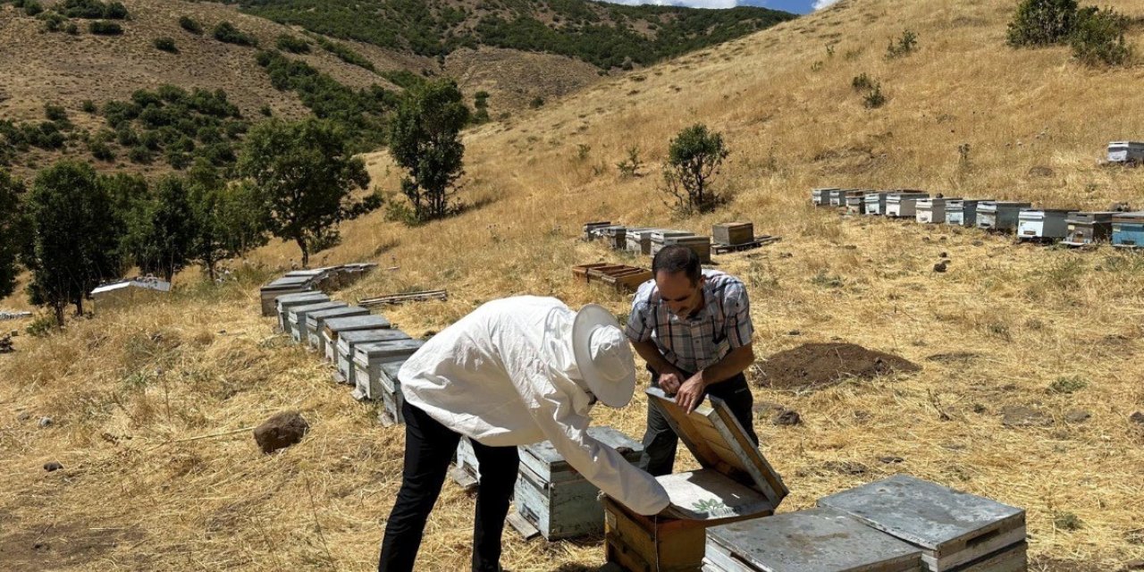 Bingöl’de arıcılara destekleme ve hastalık denetimi