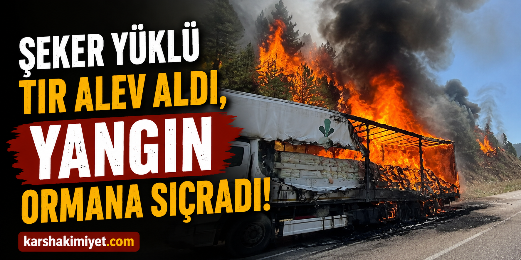 Şeker yüklü tır alev aldı, yangın ormana sıçradı