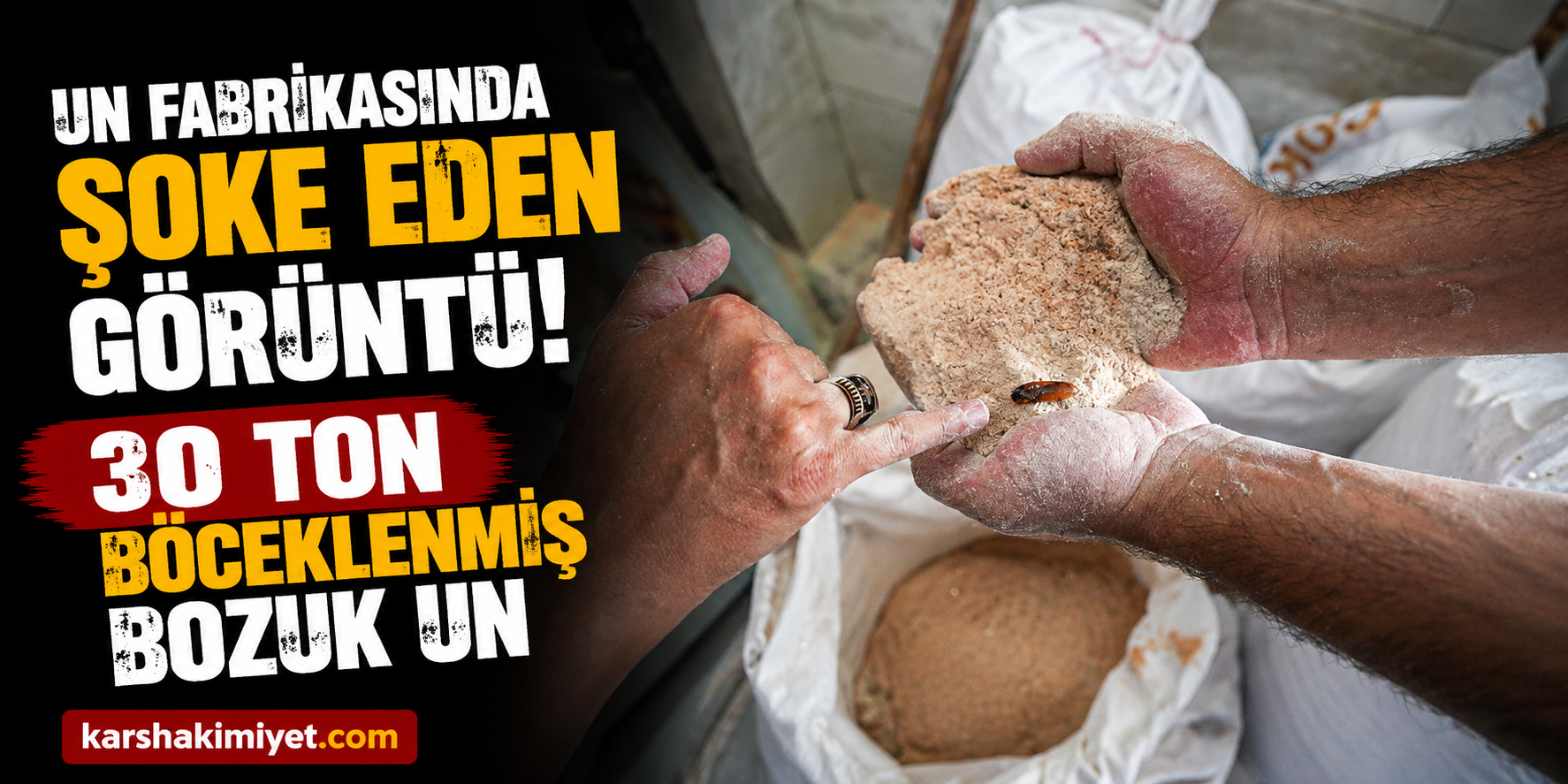 Un fabrikasında şoke eden görüntü: 30 ton böceklenmiş bozuk un ele geçirildi