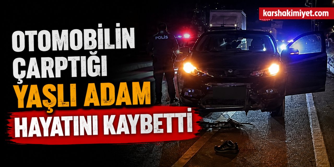 Otomobilin çarptığı yaşlı adam hayatını kaybetti