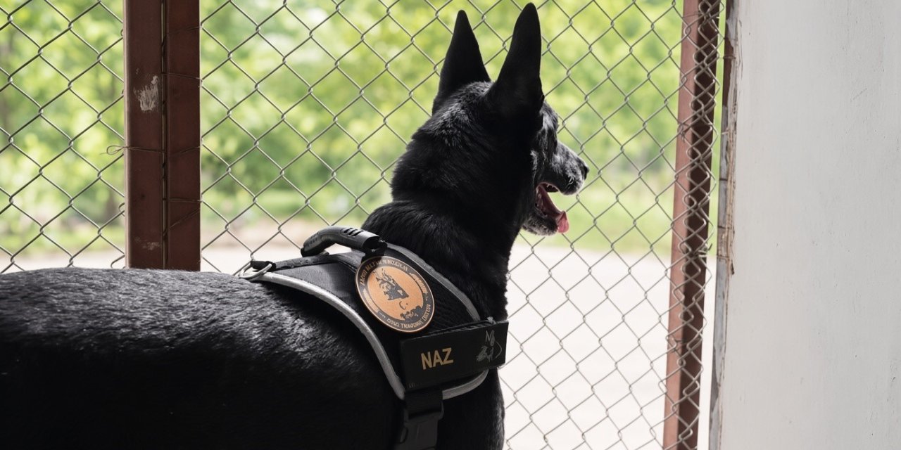 Narkotik operasyonlarının kahramanı narkotik köpeği emekli oldu
