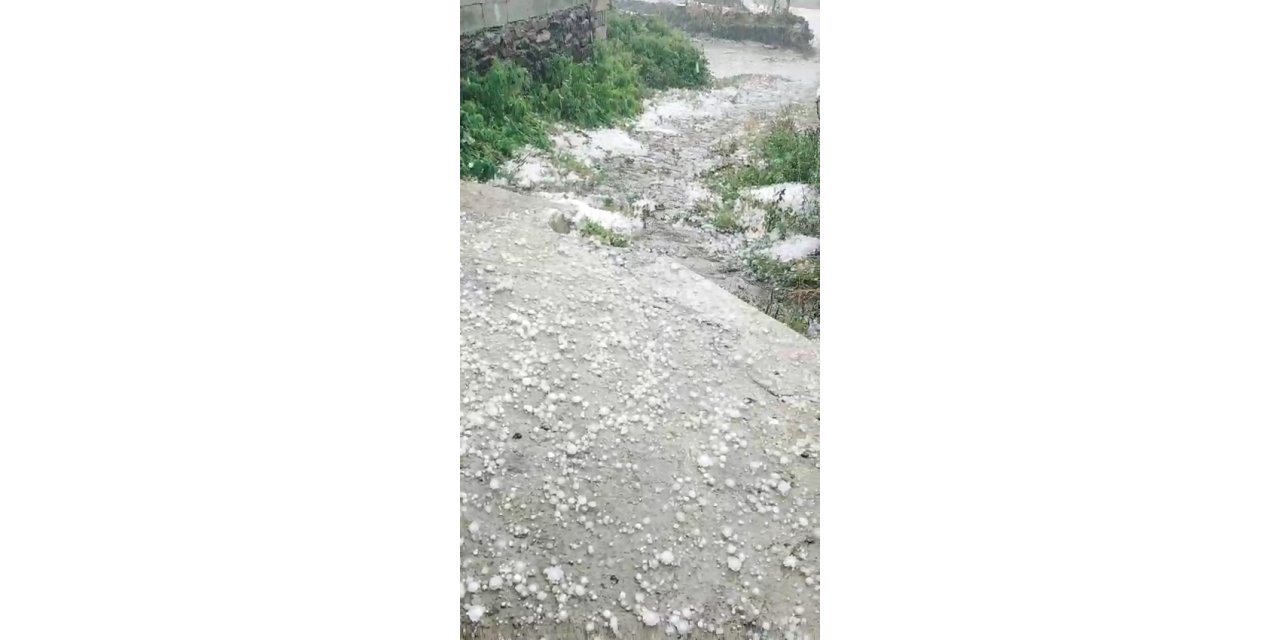 Ardahan’da dolu yağışı etkili oldu