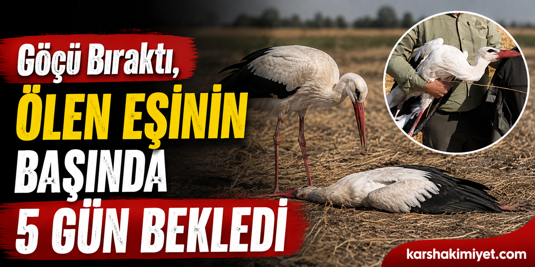 Göçü Bıraktı, Ölen Eşinin Başında 5 Gün Bekledi