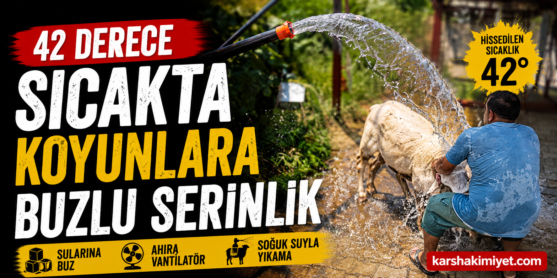 42 Derece Sıcakta Koyunlara Buzlu Serinlik