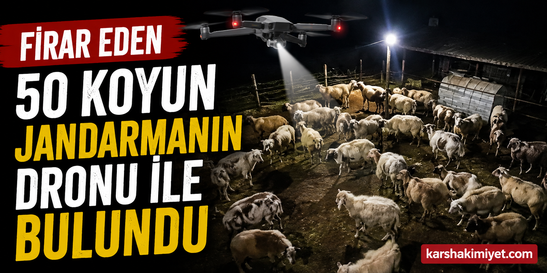 Firar eden 50 koyun jandarmanın dronu ile bulundu