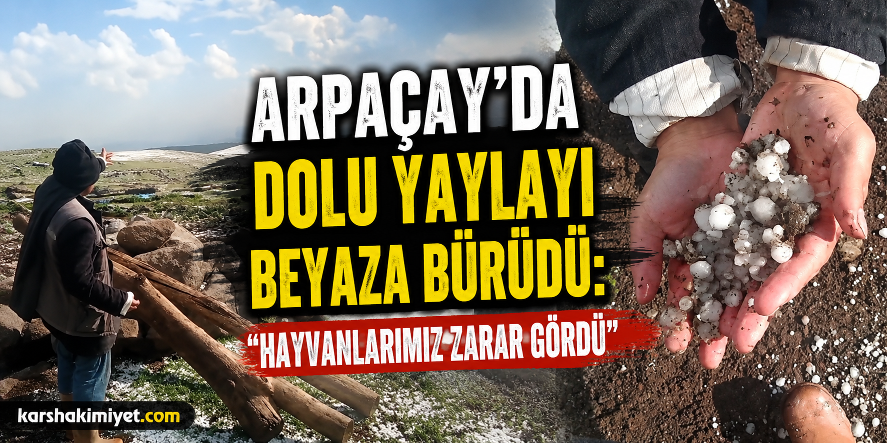 Arpaçay’da Dolu Yaylayı Beyaza Bürüdü: “Hayvanlarımız Zarar Gördü”