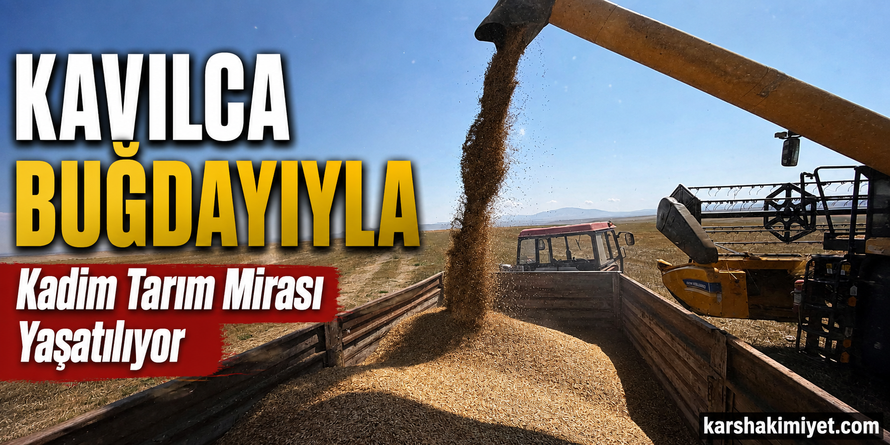 Kavılca Buğdayıyla Kadim Tarım Mirası Yaşatılıyor