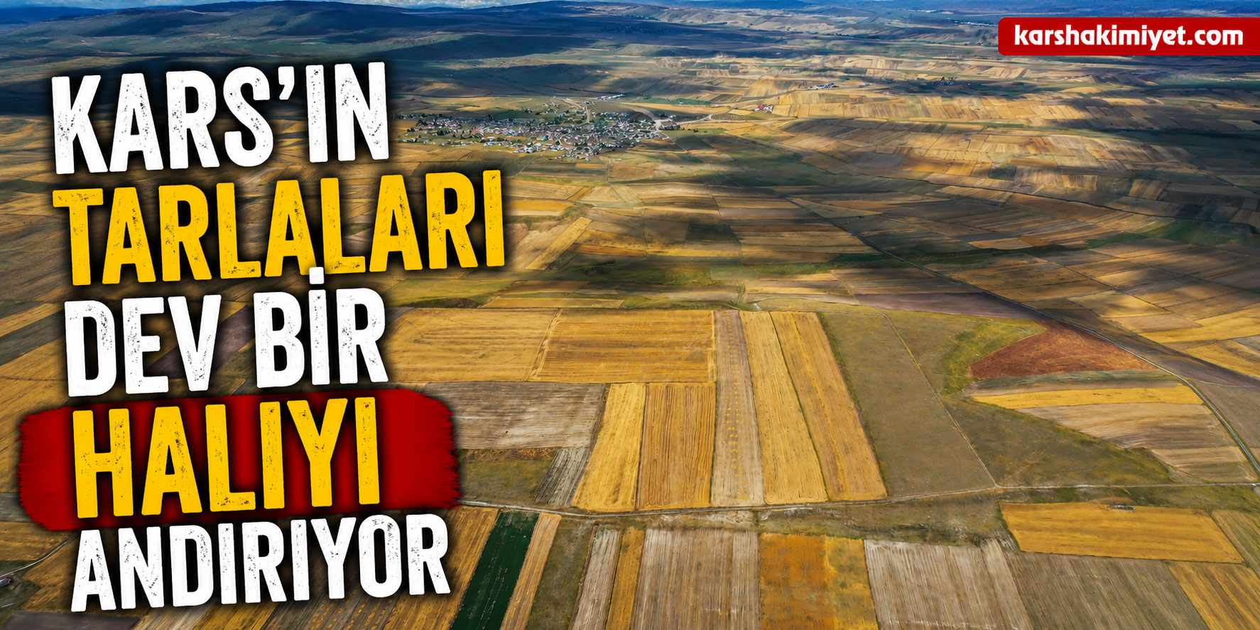 Kars’ın Tarlaları Dev Bir Halıyı Andırıyor