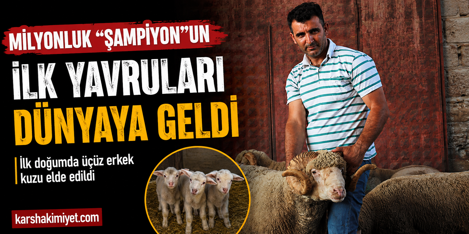 Milyonluk “Şampiyon”un İlk Yavruları Dünyaya Geldi