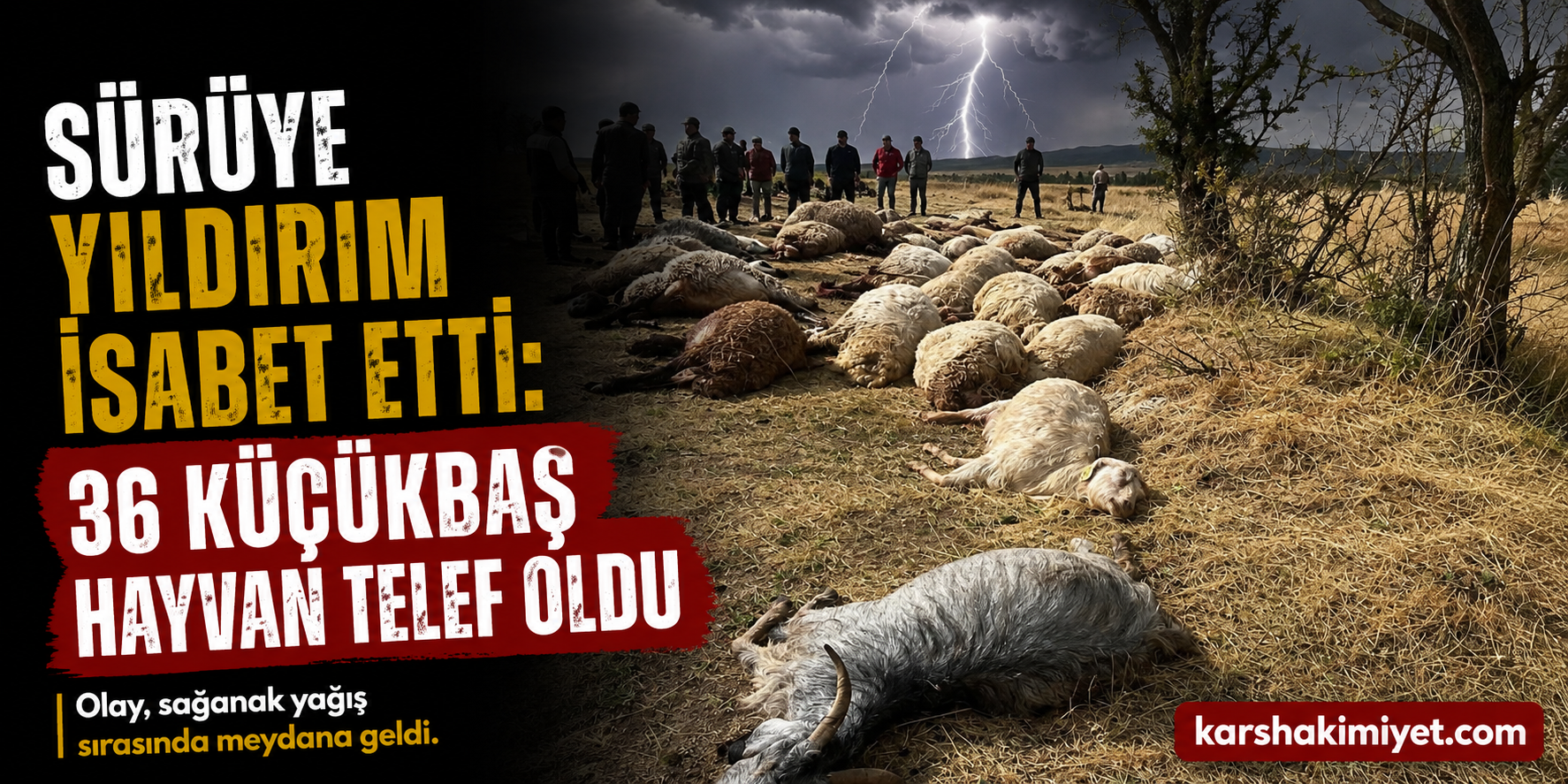 Sürüye yıldırım isabet etti: 36 küçükbaş hayvan telef oldu