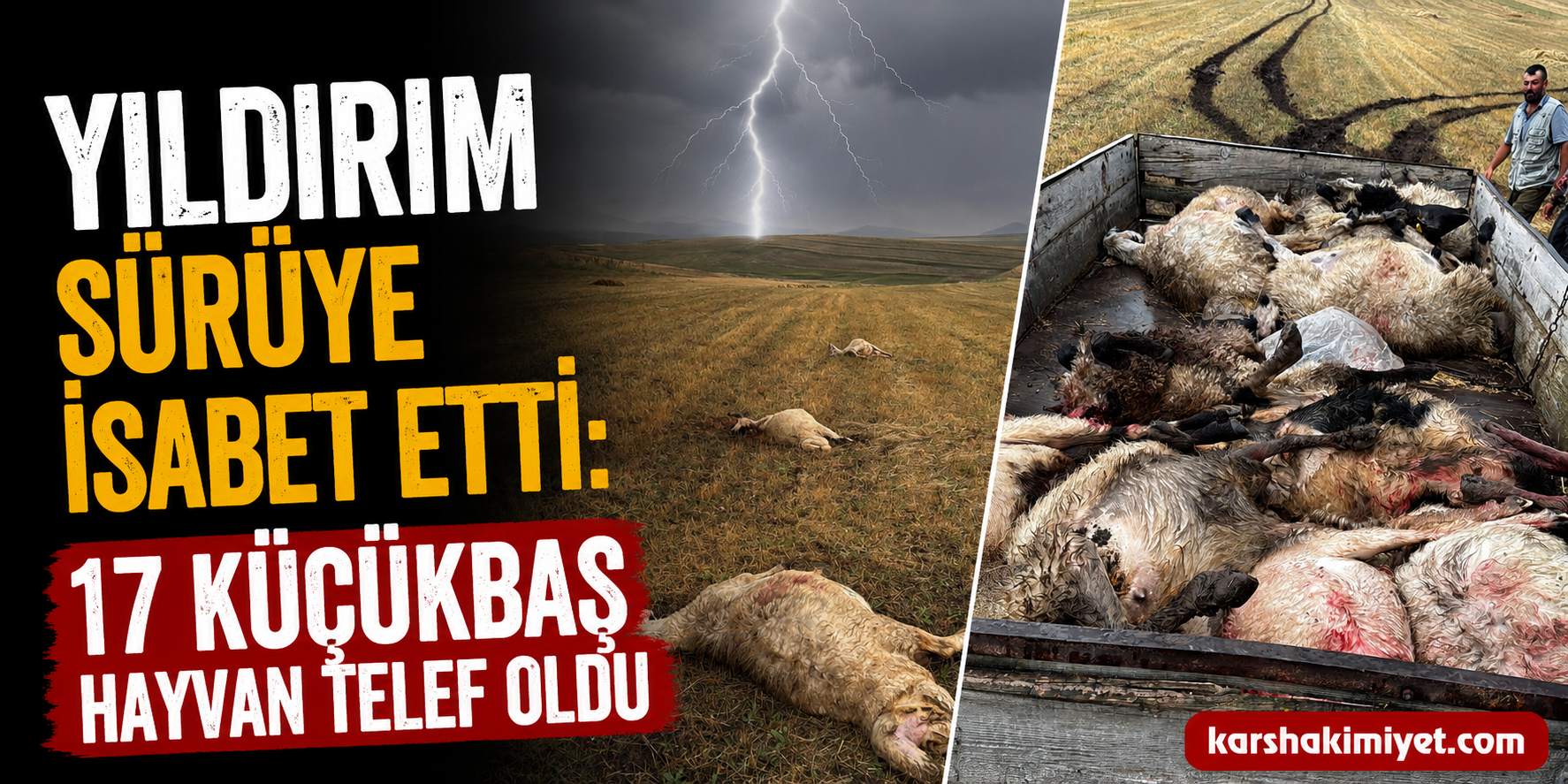 Yıldırım Sürüye İsabet Etti: 17 Küçükbaş Hayvan Telef Oldu