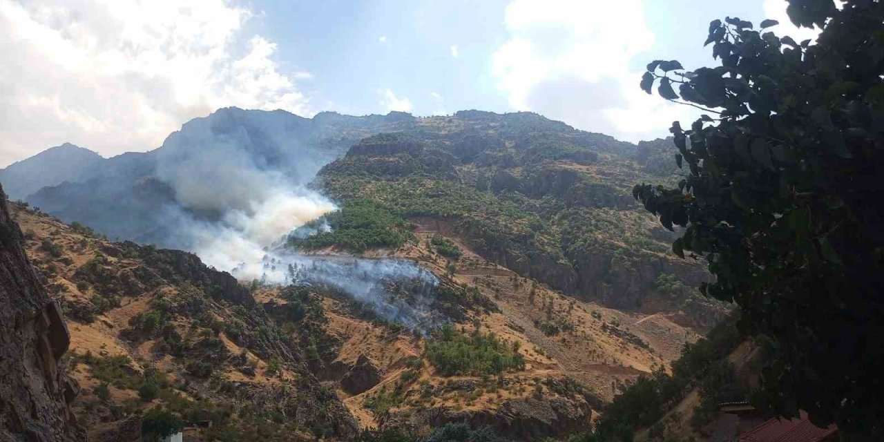 Hakkâri’de orman yangınına giden arazöz Zap Suyu’na uçtu: 3 yaralı
