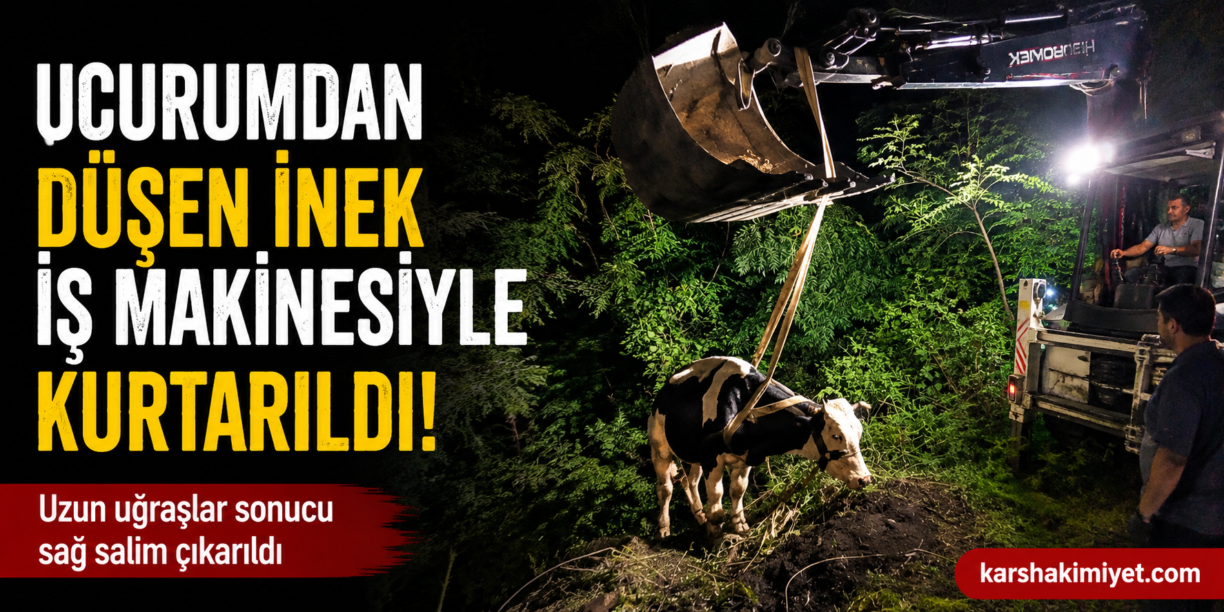 Uçurumdan düşen inek iş makinesiyle kurtarıldı