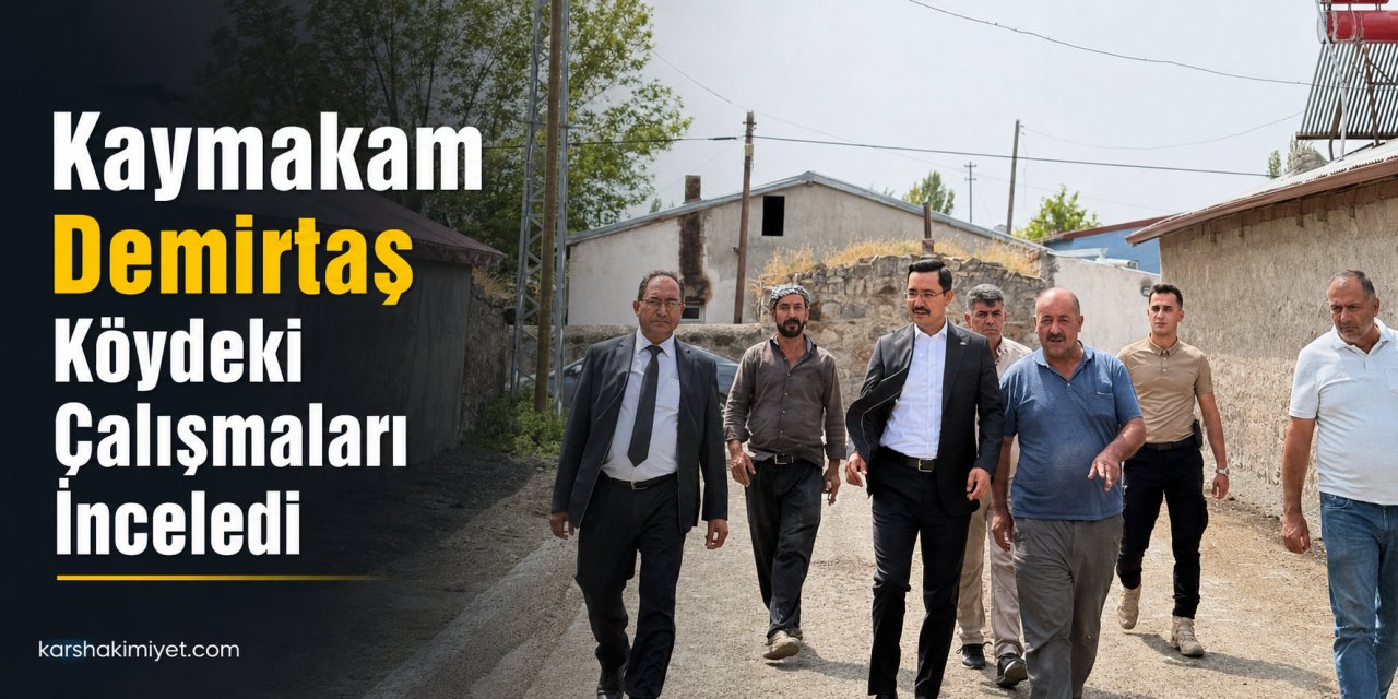Kaymakam Demirtaş Köydeki Çalışmaları İnceledi