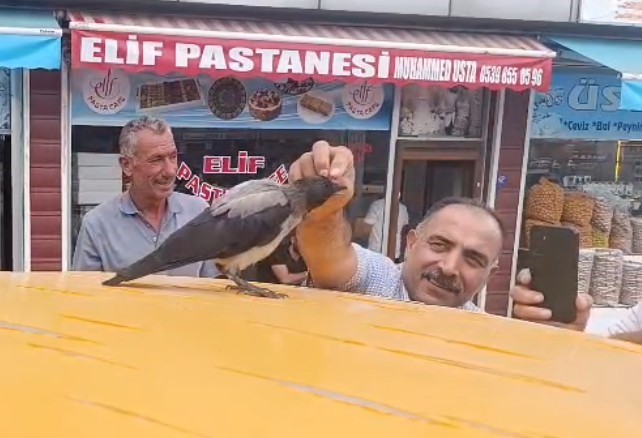 Adilcevaz’da kasap ile karga arasındaki sıra dışı dostluk gülümsetti