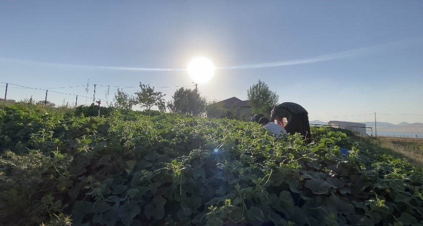 Ağrı’da bostanların bereketi kışa taşınıyor