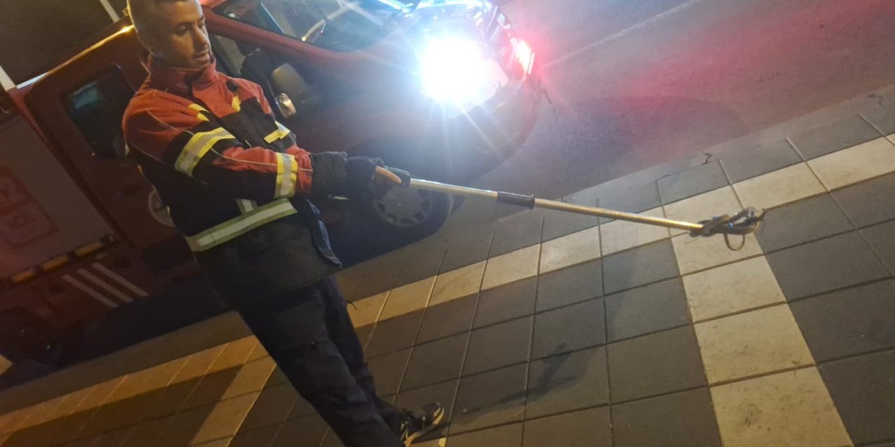 Cami bahçesine giren yılan itfaiye ekiplerince yakalandı