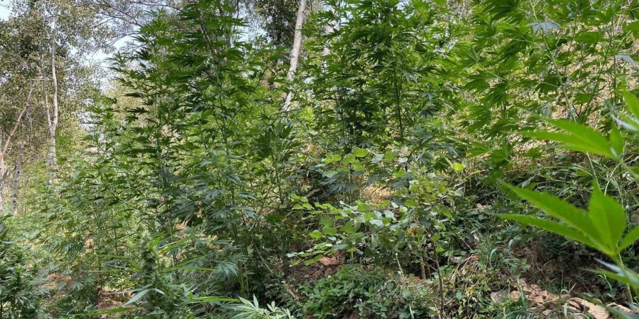 Bingöl’de jandarmadan huzur ve güvenlik çalışmaları
