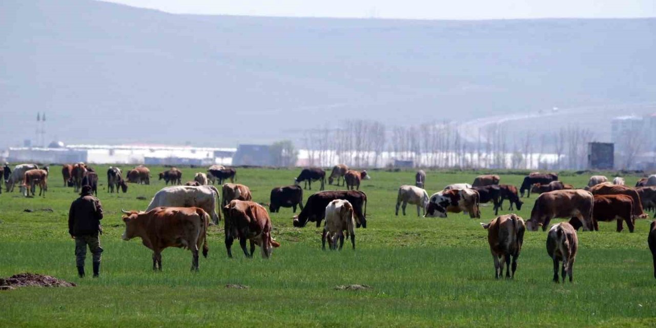 Tarımda üreticilere destekleme çağrısı