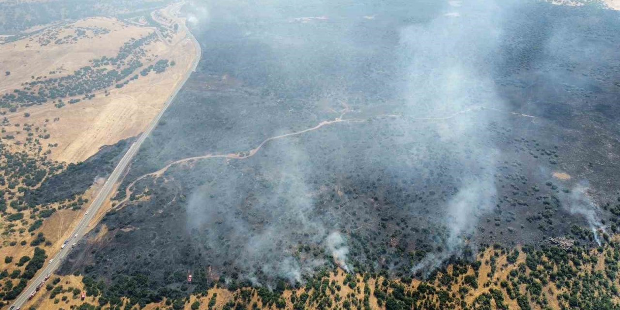 Elazığ’da kırsalda başlayan yangın ormanlık alana sıçradı: Müdahale sürüyor