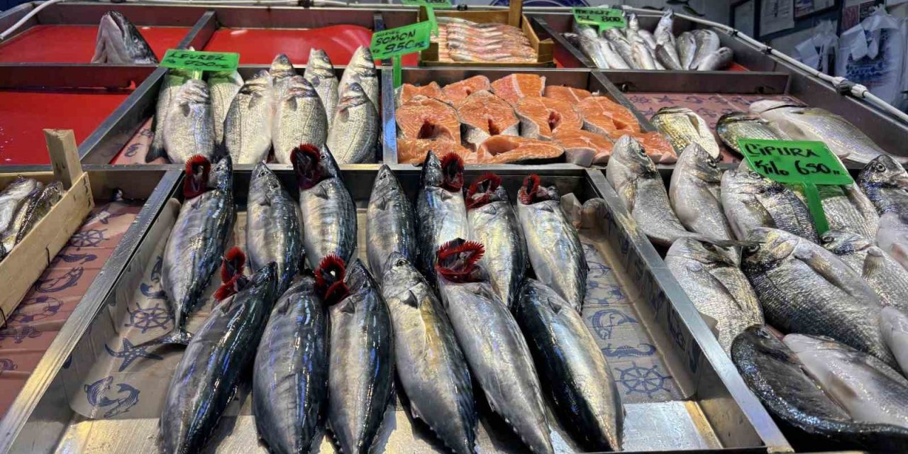 Eylül ayında sofralarda hangi balıklar tercih edilmeli?