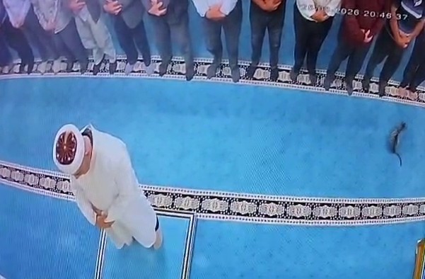 Camide kediyi tekmeleyen şahsa sosyal medyada tepki yağdı: Başsavcılık harekete geçti, gözaltına alındı