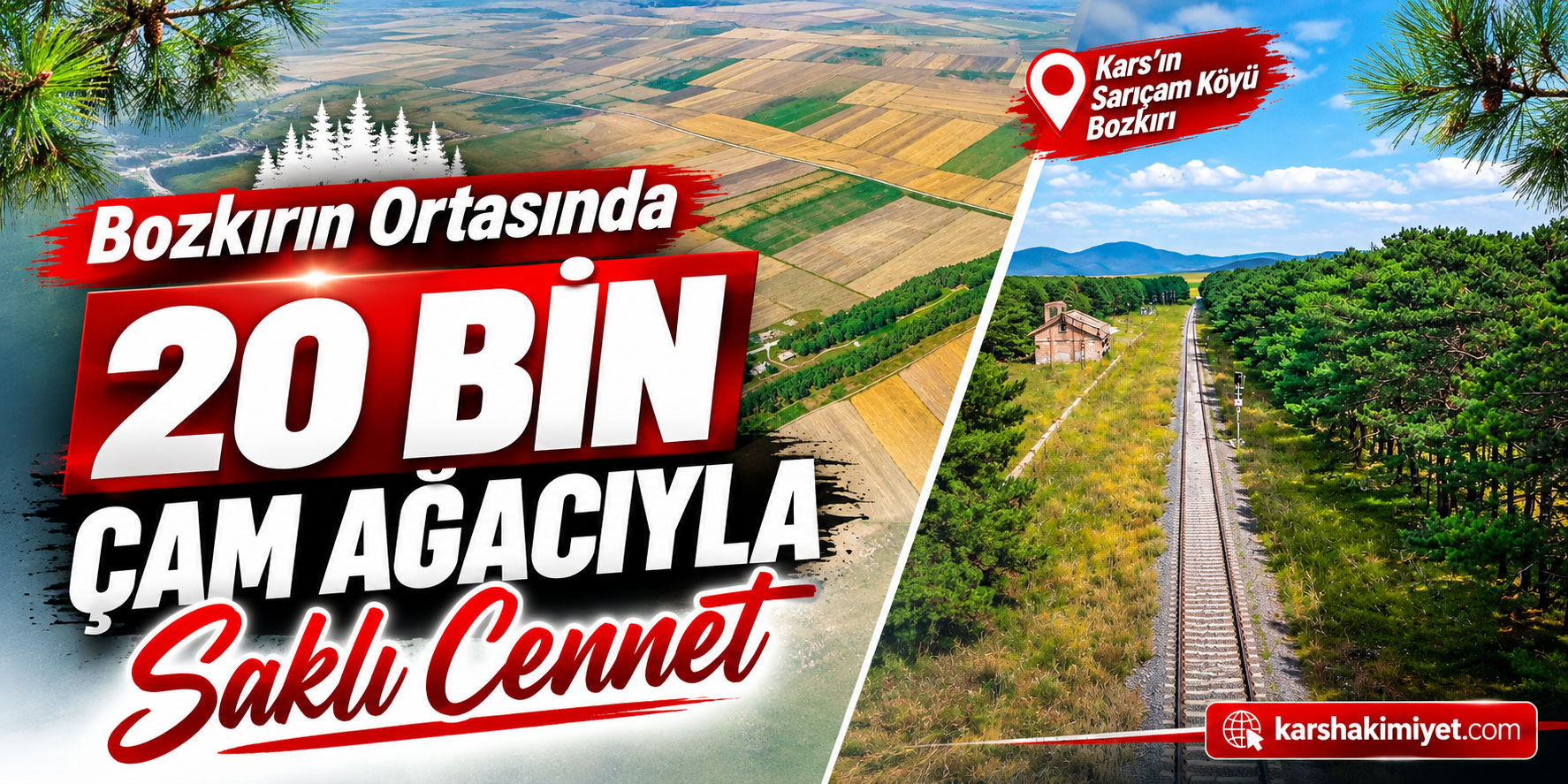 Bozkırın Ortasında 20 Bin Çam Ağacıyla Saklı Cennet