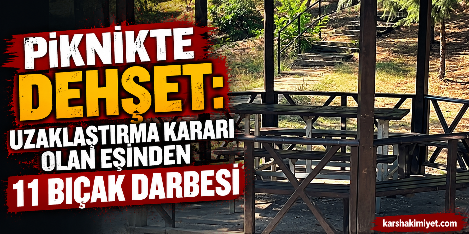 Piknikte Dehşet: Uzaklaştırma Kararı Olan Eşinden 11 Bıçak Darbesi