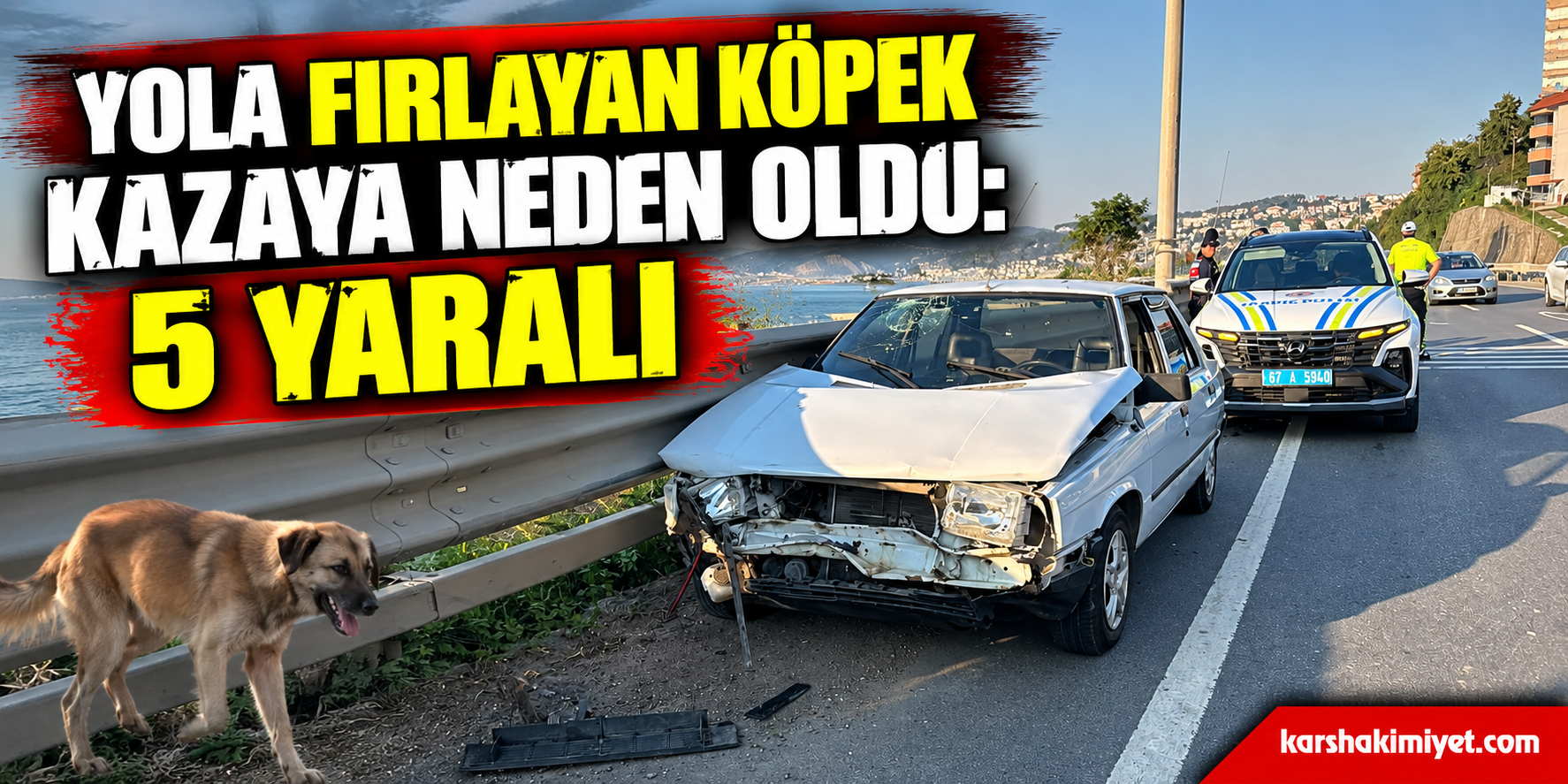 Yola fırlayan köpek kazaya neden oldu: 5 yaralı