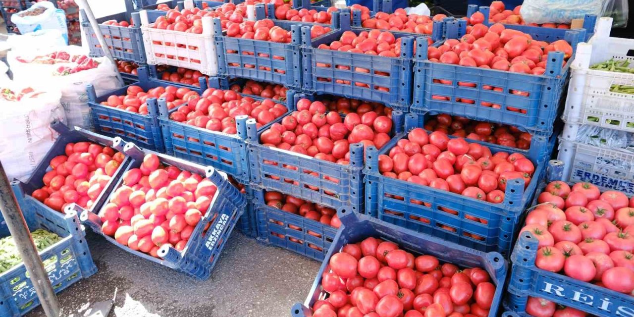 Erzincan’da salçalık domates ve biberler tezgahlarda