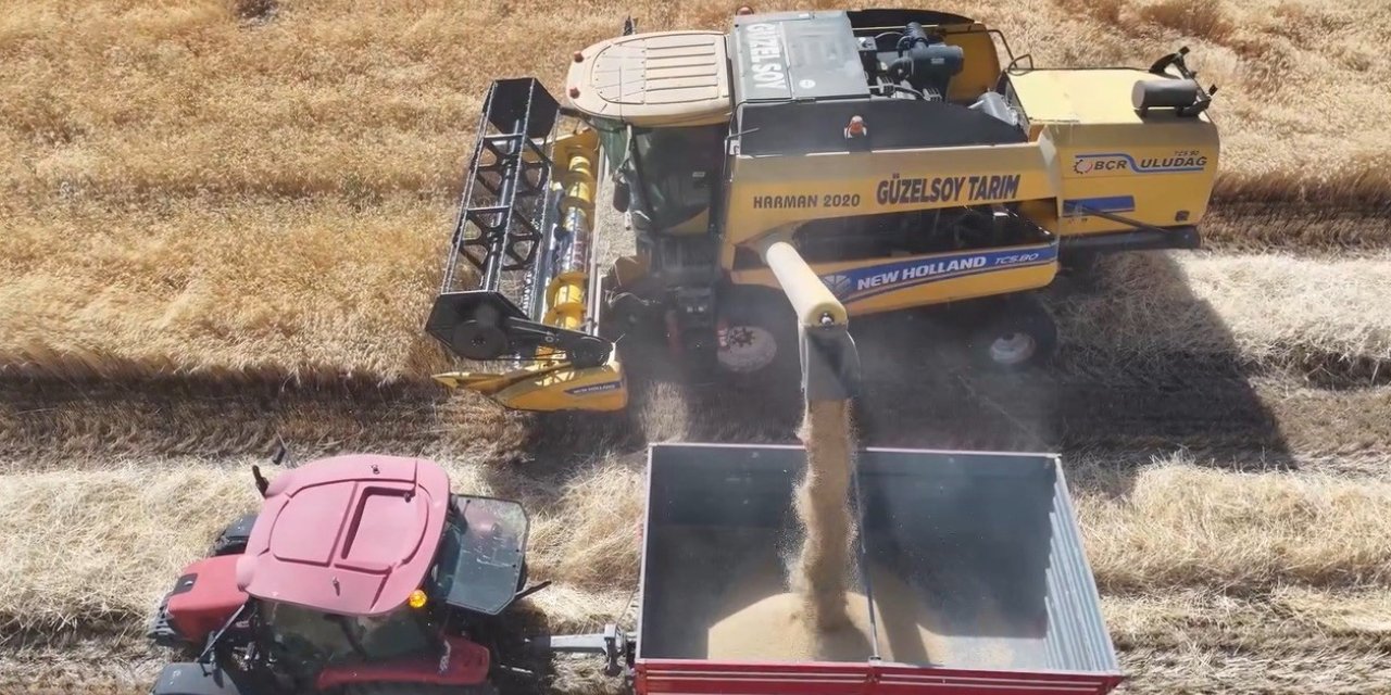 Erzincan’da baraj ve sulama suları tarlaları bereketle buluşturuyor
