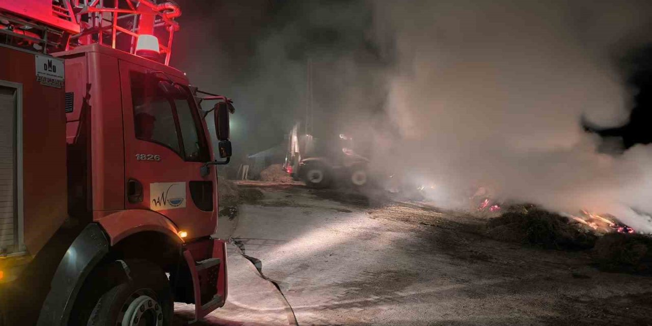 Van’da 2 bin 500 bağ ot yandı