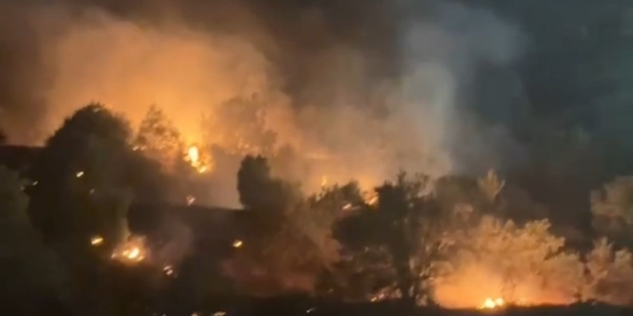 Yüksekova’da ağaçlık alanda çıkan yangın söndürüldü